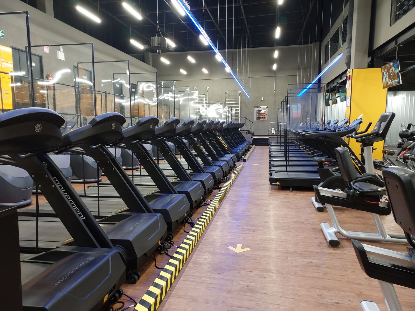 A row of treadmills in a fitness club